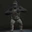 gorilla