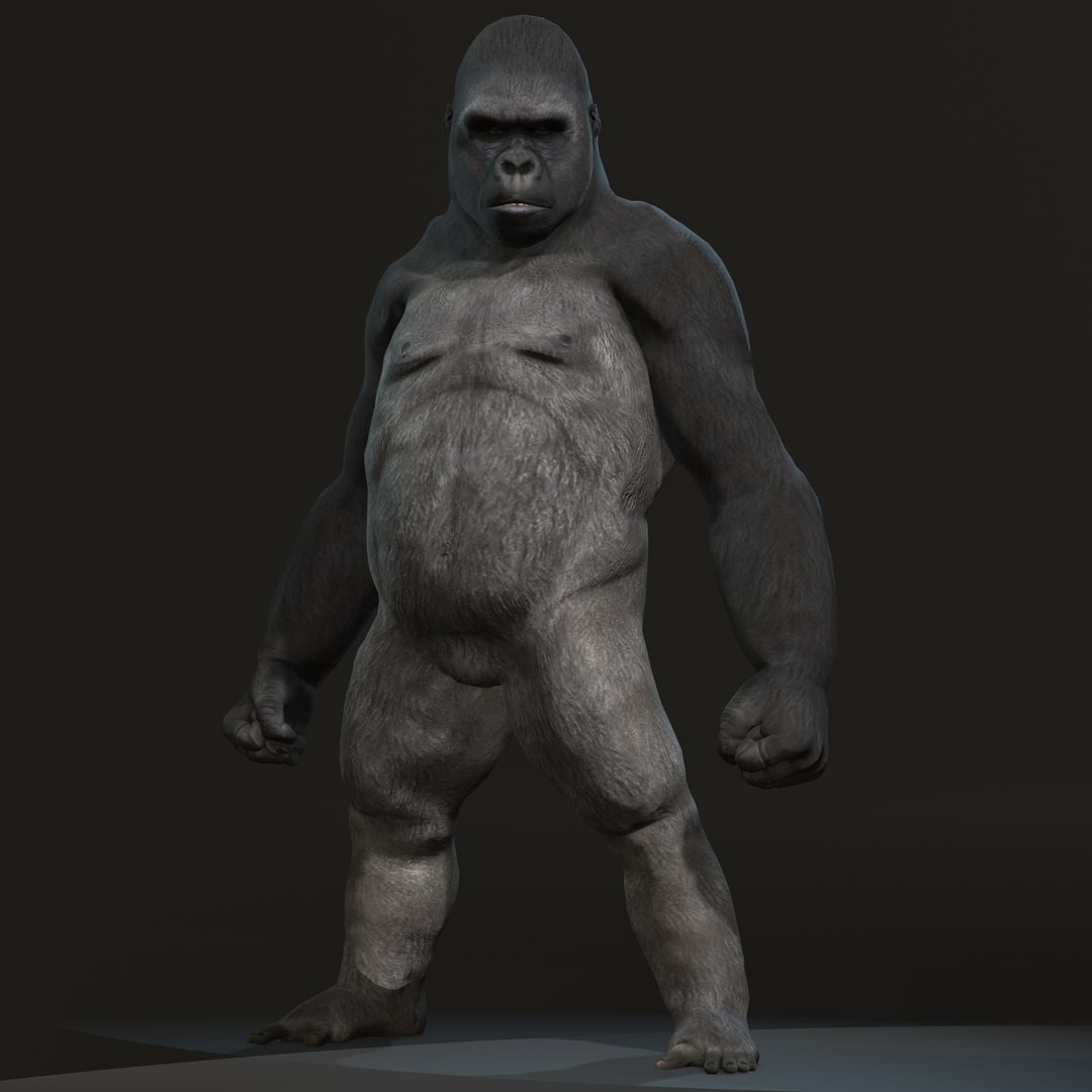gorilla 3D model https://p.turbosquid.com/ts-thumb/mW/VeBL6v/d1/gorilla4/jpg/1654664549/1920x1080/fit_q87/82a09d8e555725e81a77d93079d854c11c15c0da/gorilla4.jpg