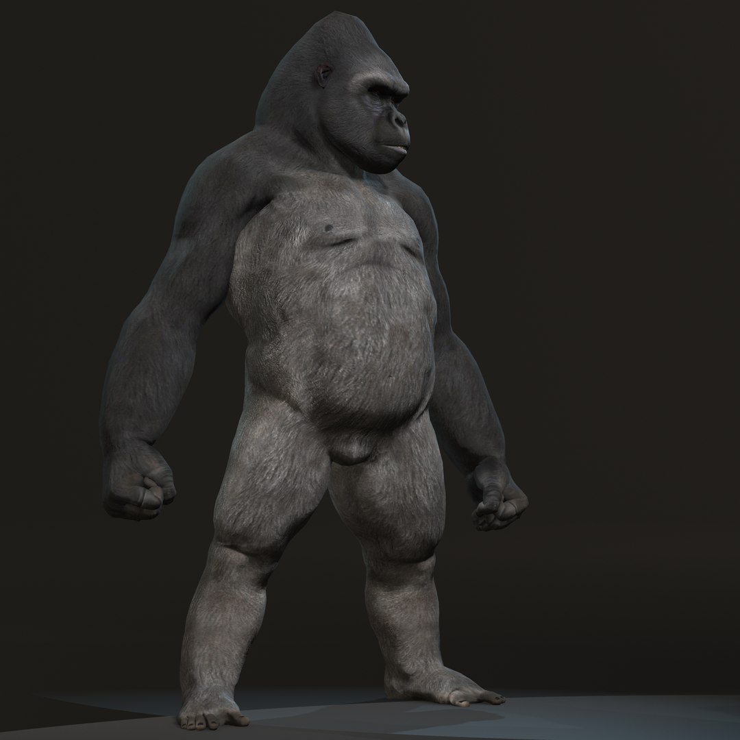 gorilla 3D model https://p.turbosquid.com/ts-thumb/mW/VeBL6v/qY/gorilla6/jpg/1654664707/1920x1080/fit_q87/df0a9afe2aa3f86455a31f624e0dabece797556e/gorilla6.jpg