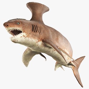 3D model Stethacanthus - Prehistoric Shark Rigged