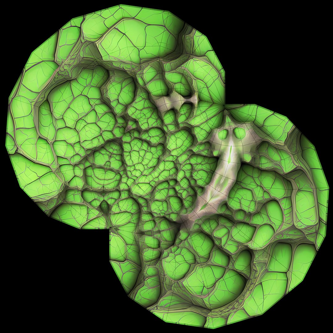 Alien Egg 1 3D model https://p.turbosquid.com/ts-thumb/mW/xft1lH/L2/uv/png/1722161942/1920x1080/fit_q87/7c472d110173b65109573ab9f7bc50c735b95814/uv.jpg