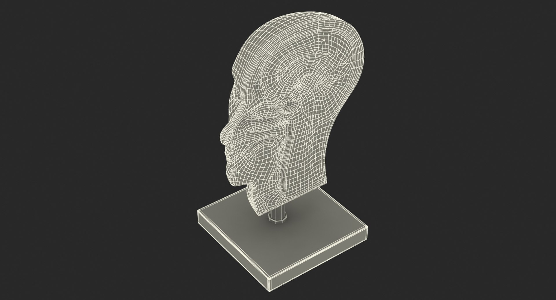 3D Section Human Head Anatomy - TurboSquid 1241365