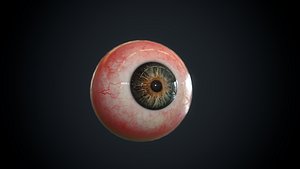 eye 3D model