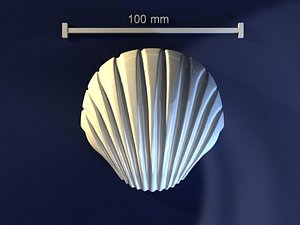 Sea shell