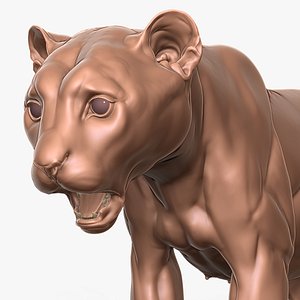 Snow Leopard Cub Primary Forms Zbrush Sculpt