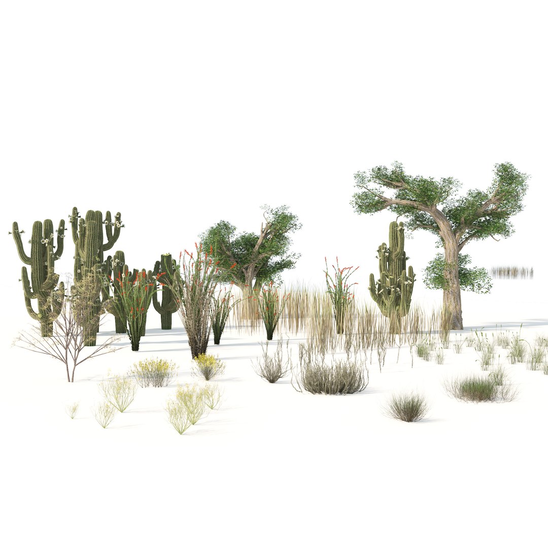 low poly Desert Vegetation 3D https://p.turbosquid.com/ts-thumb/mX/ctMN12/6d/02pp/jpg/1690294503/1920x1080/fit_q87/fae0bb182718727f7fa661074bc2ef707d4537c3/02pp.jpg