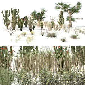 low poly Desert Vegetation 3D