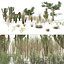 low poly Desert Vegetation