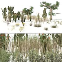 low poly Desert Vegetation