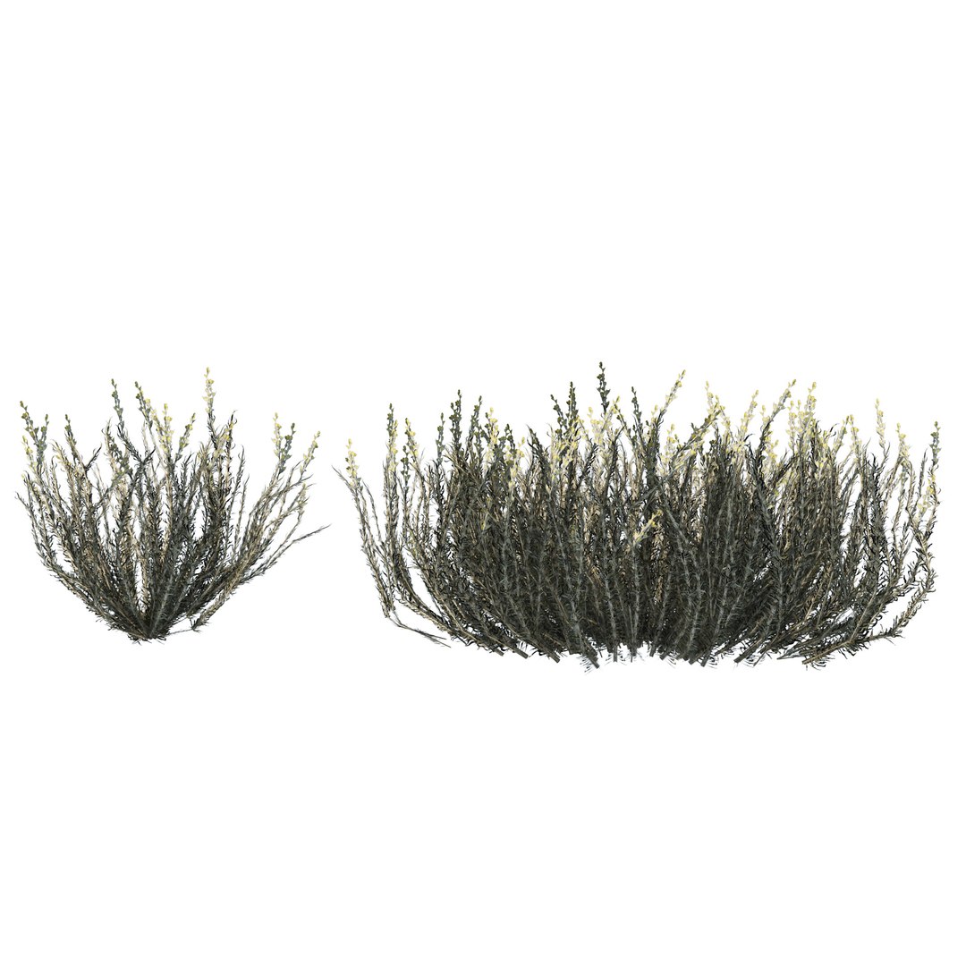 low poly Desert Vegetation 3D https://p.turbosquid.com/ts-thumb/mX/ctMN12/f8/05.rgb_color.0000/jpg/1690294515/1920x1080/fit_q87/2a55ae602eefaab7015bbc3a029d04da037848f8/05.rgb_color.0000.jpg