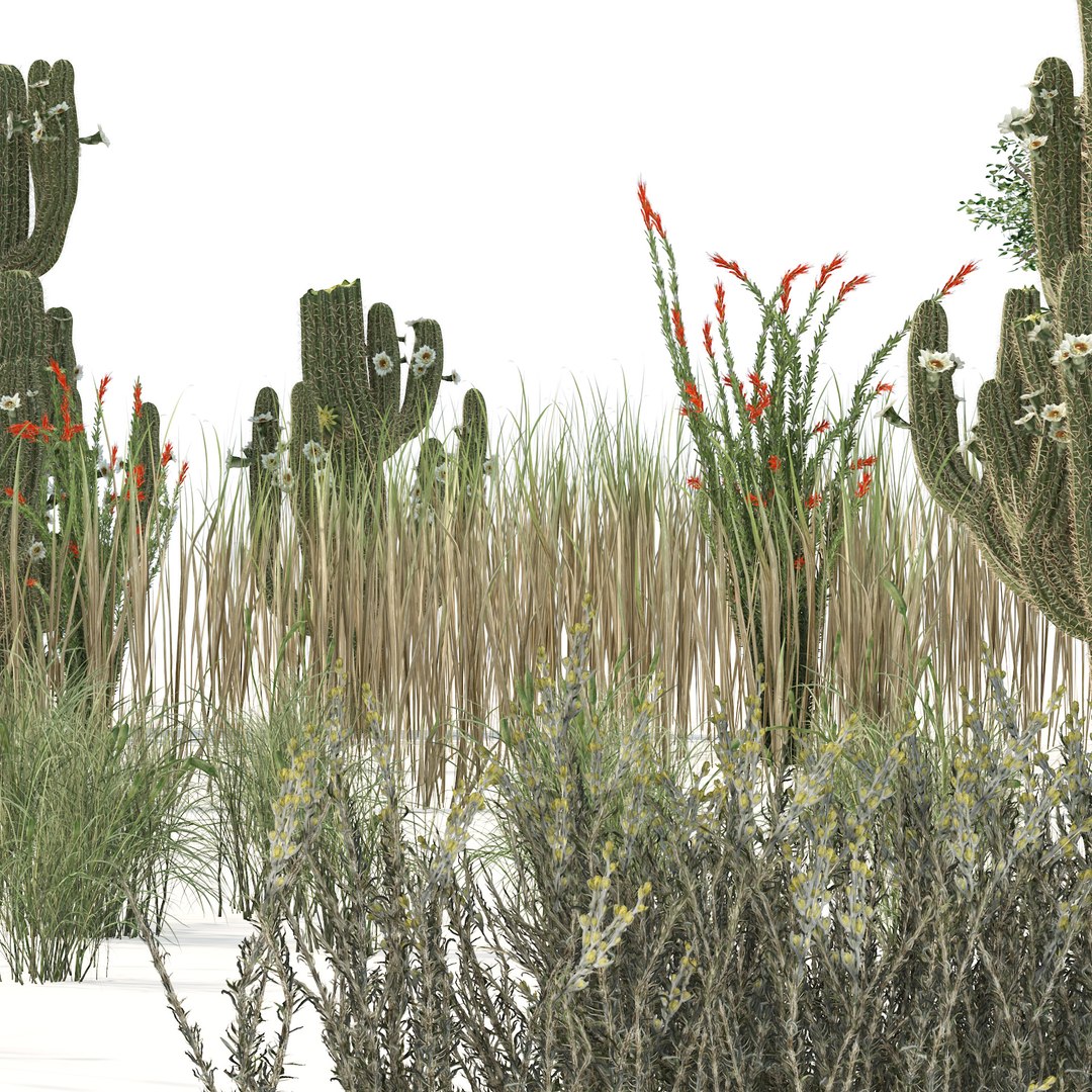 low poly Desert Vegetation 3D https://p.turbosquid.com/ts-thumb/mX/ctMN12/lj/04.rgb_color.0000/jpg/1690294507/1920x1080/fit_q87/f1c48841046113b08411e68b430ec4e68be19c97/04.rgb_color.0000.jpg