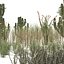 low poly Desert Vegetation