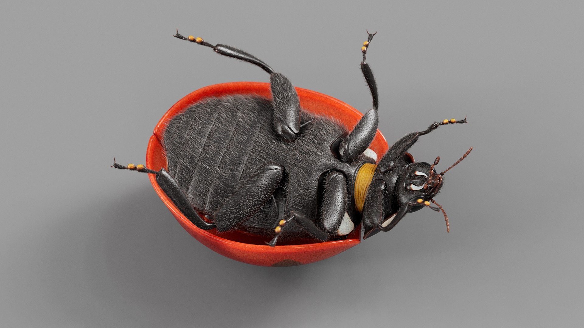 Ladybug Rigged Xgen 3D https://p.turbosquid.com/ts-thumb/mX/iIVhOl/09/ladybug_main_15/jpg/1761638579/1920x1080/fit_q87/a0aeb292d1806e877b2a7b689146fd2ac1835920/ladybug_main_15.jpg