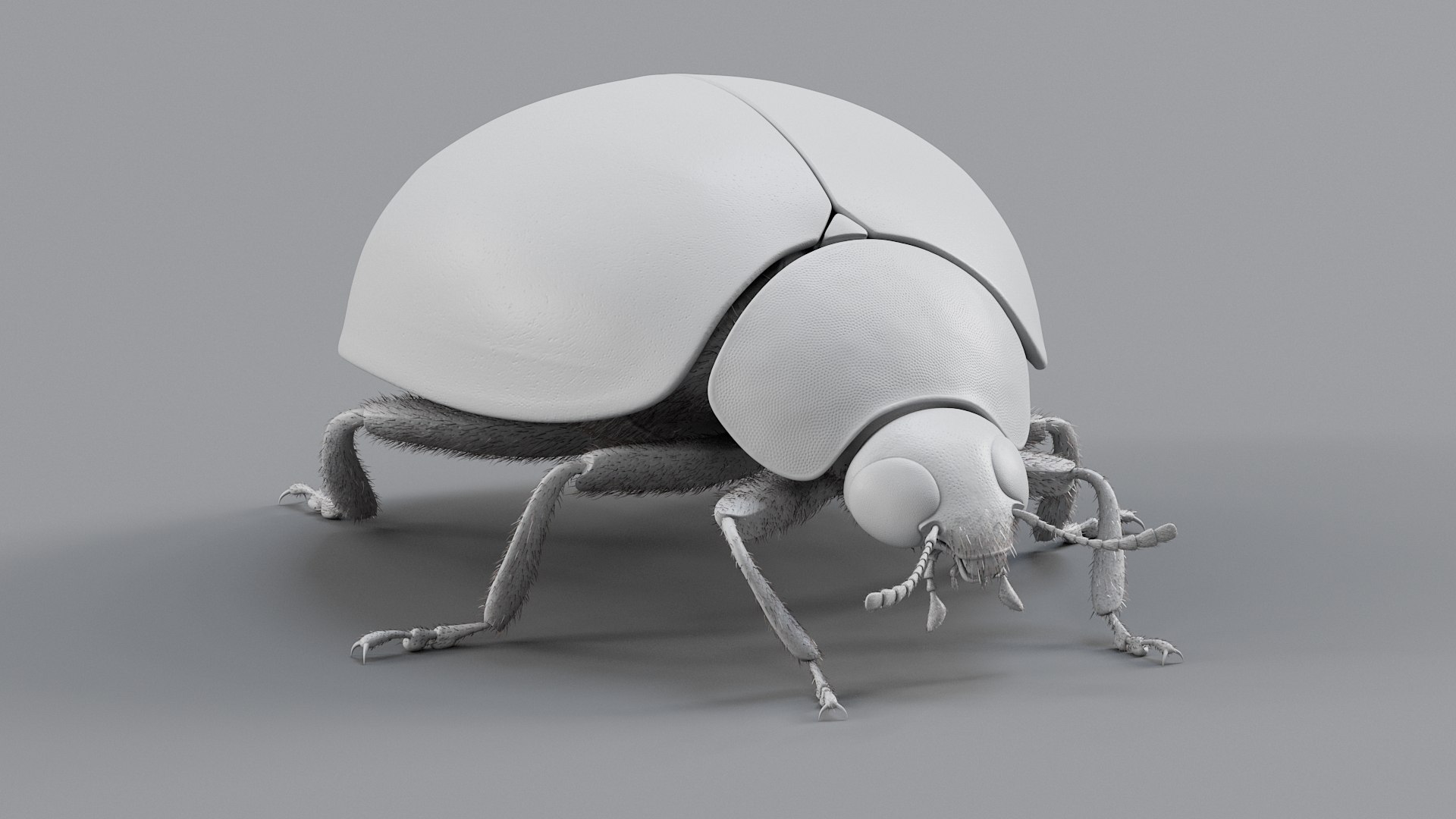 Ladybug Rigged Xgen 3D https://p.turbosquid.com/ts-thumb/mX/iIVhOl/4d/ladybug_main_17/jpg/1761638582/1920x1080/fit_q87/34766f7ef7c6bf0842da4ab8610e0789d112373c/ladybug_main_17.jpg