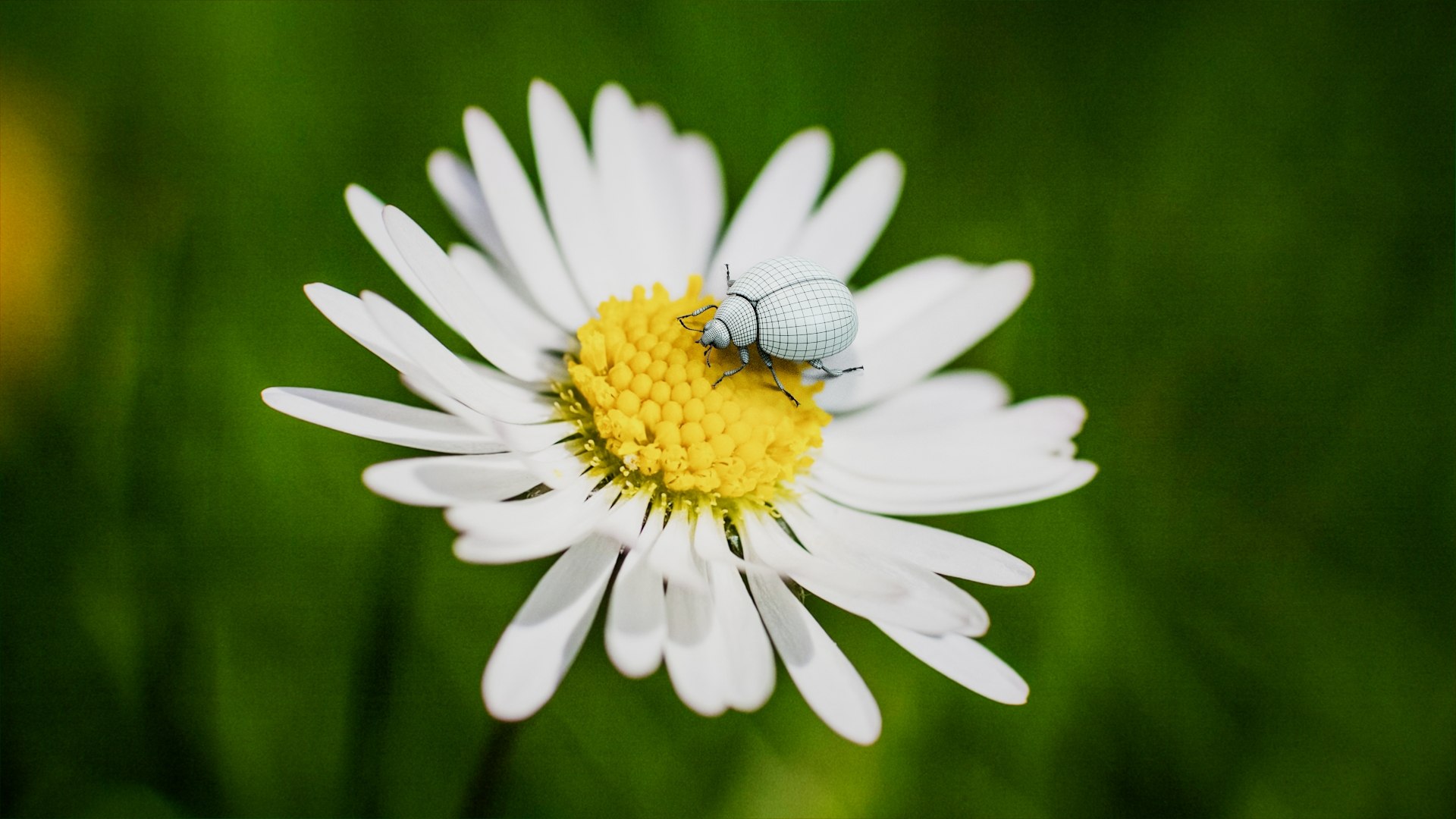Ladybug Rigged Xgen 3D https://p.turbosquid.com/ts-thumb/mX/iIVhOl/5R/ladybug_on_nat_bg_03_02/jpg/1761638241/1920x1080/fit_q87/081ea2e789066666704c5fb7e64ad8f778147975/ladybug_on_nat_bg_03_02.jpg