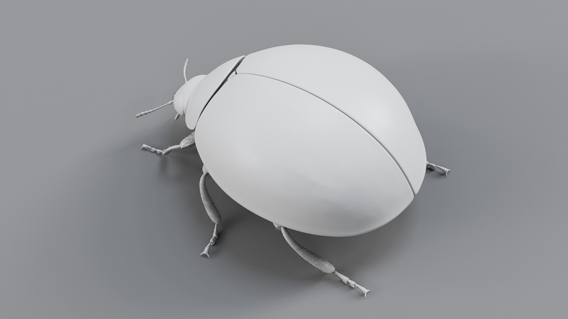 Ladybug Rigged Xgen 3D https://p.turbosquid.com/ts-thumb/mX/iIVhOl/6b/ladybug_main_20/jpg/1761638587/1920x1080/fit_q87/5c09529fafa97c888187b7bc003786a7606cfc44/ladybug_main_20.jpg
