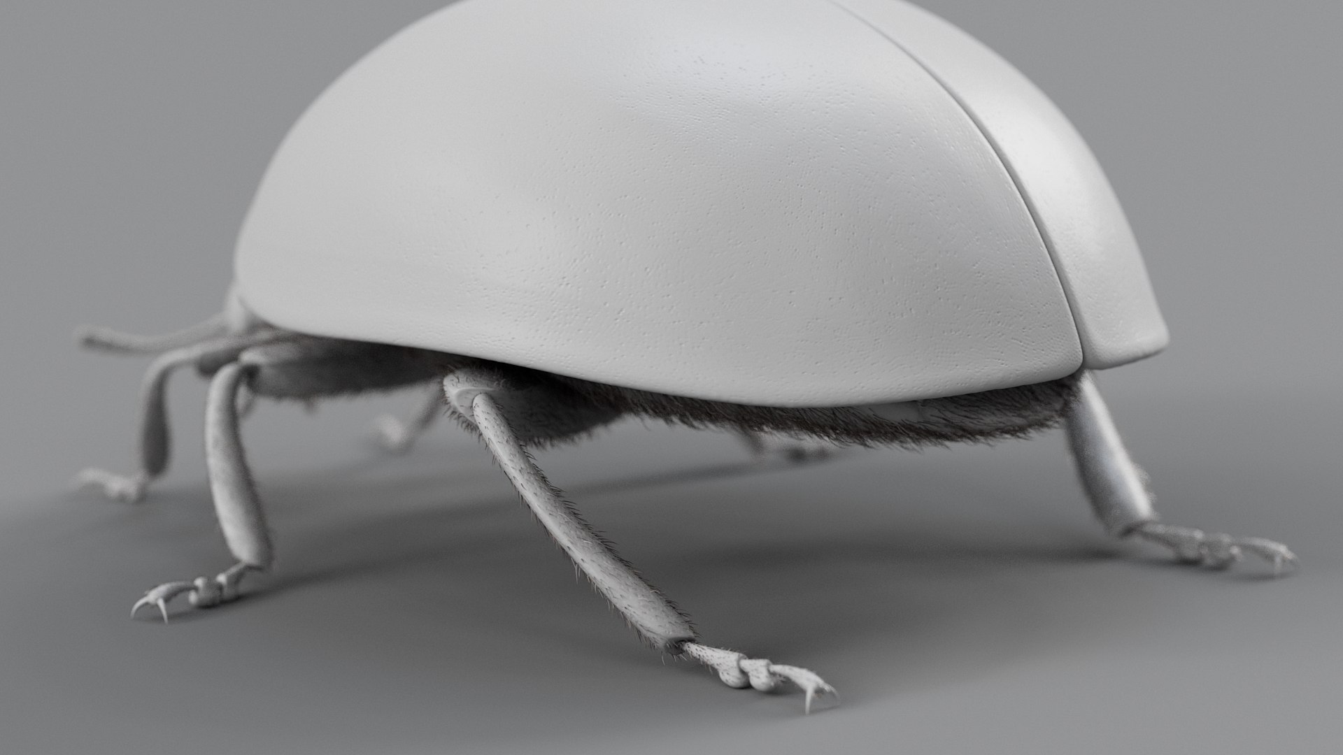 Ladybug Rigged Xgen 3D https://p.turbosquid.com/ts-thumb/mX/iIVhOl/9E/ladybug_main_27/jpg/1761638594/1920x1080/fit_q87/e7caac6b5468013d9427fca6138efaa1cd43006a/ladybug_main_27.jpg