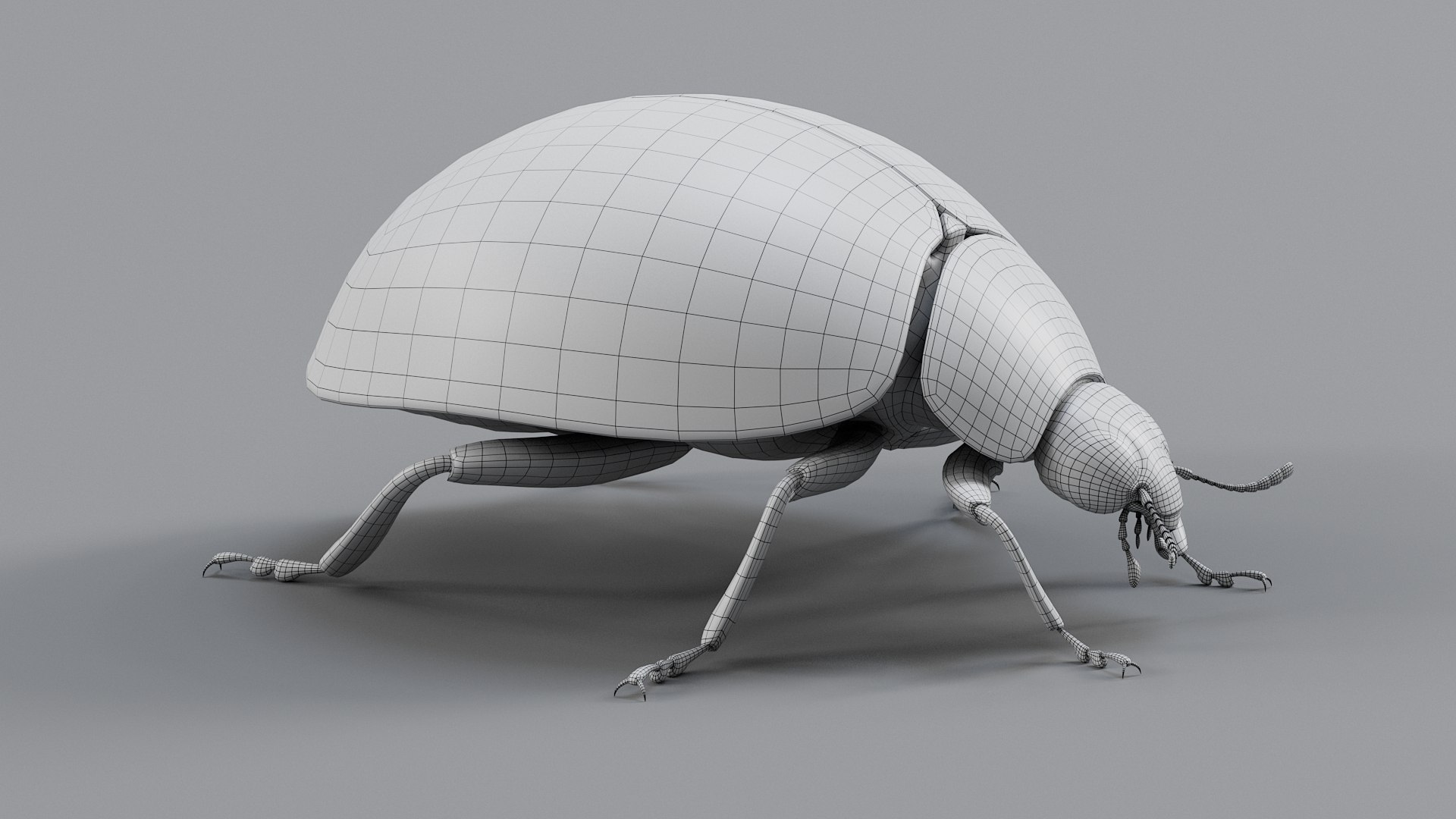 Ladybug Rigged Xgen 3D https://p.turbosquid.com/ts-thumb/mX/iIVhOl/Ew/ladybug_main_31/jpg/1761638600/1920x1080/fit_q87/14b5a5ad2c7dabe4666fa481f562582131dc731a/ladybug_main_31.jpg