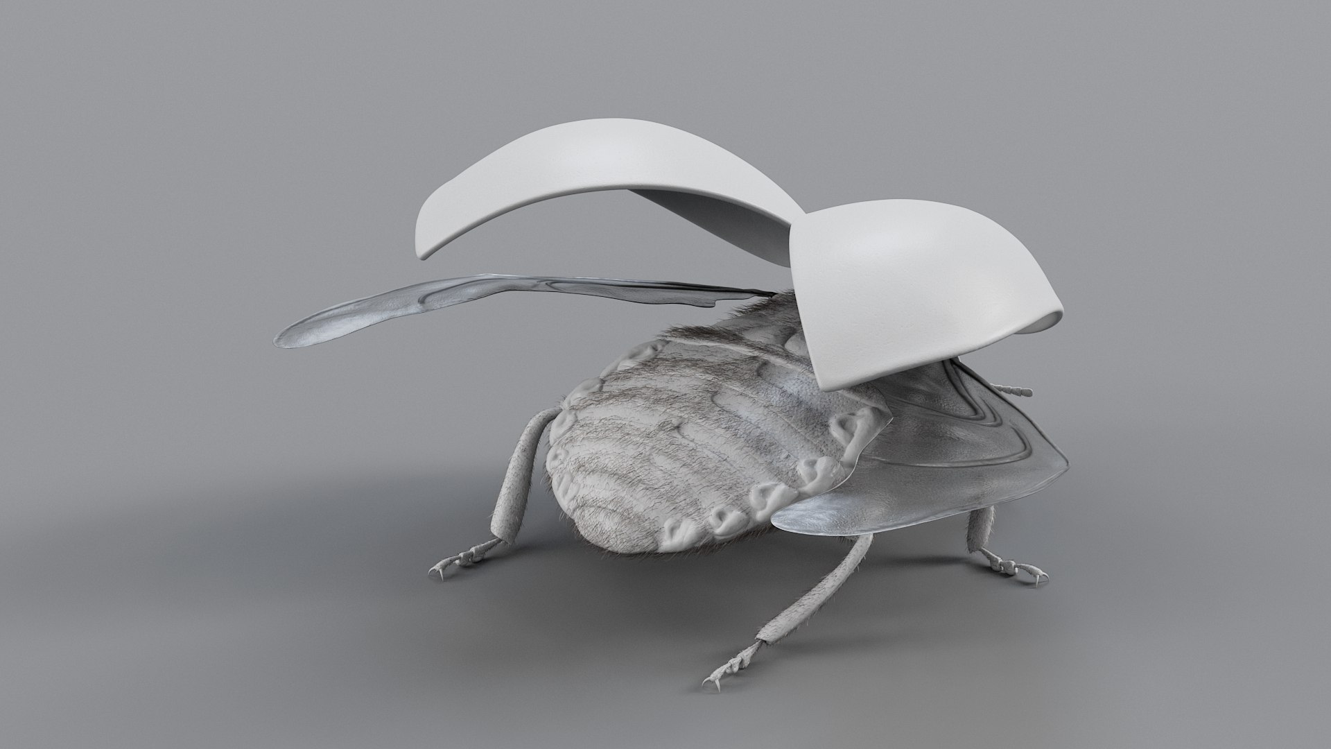 Ladybug Rigged Xgen 3D https://p.turbosquid.com/ts-thumb/mX/iIVhOl/FN/ladybug_main_24/jpg/1761638590/1920x1080/fit_q87/86cea4dc136e2c6eb2b07216f0d87ef98848f3a5/ladybug_main_24.jpg