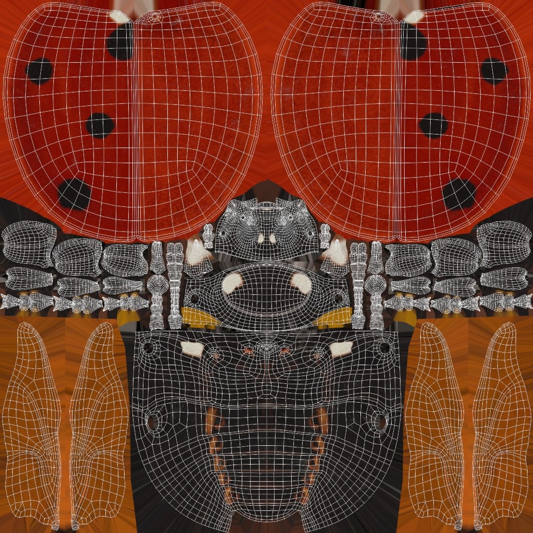 Ladybug Rigged Xgen 3D https://p.turbosquid.com/ts-thumb/mX/iIVhOl/Hn/ladybug_textures/jpg/1761638617/1920x1080/fit_q87/358233edd407a25d3f1d2bf84d546f31408b18d0/ladybug_textures.jpg