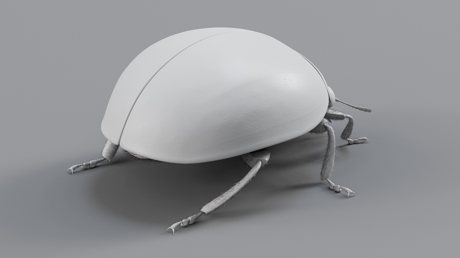 Ladybug Rigged Xgen 3D https://p.turbosquid.com/ts-thumb/mX/iIVhOl/MR/ladybug_main_19/jpg/1761638584/1920x1080/fit_q87/d3c0326c81bcb8adadef64d465b36610e6f92e24/ladybug_main_19.jpg
