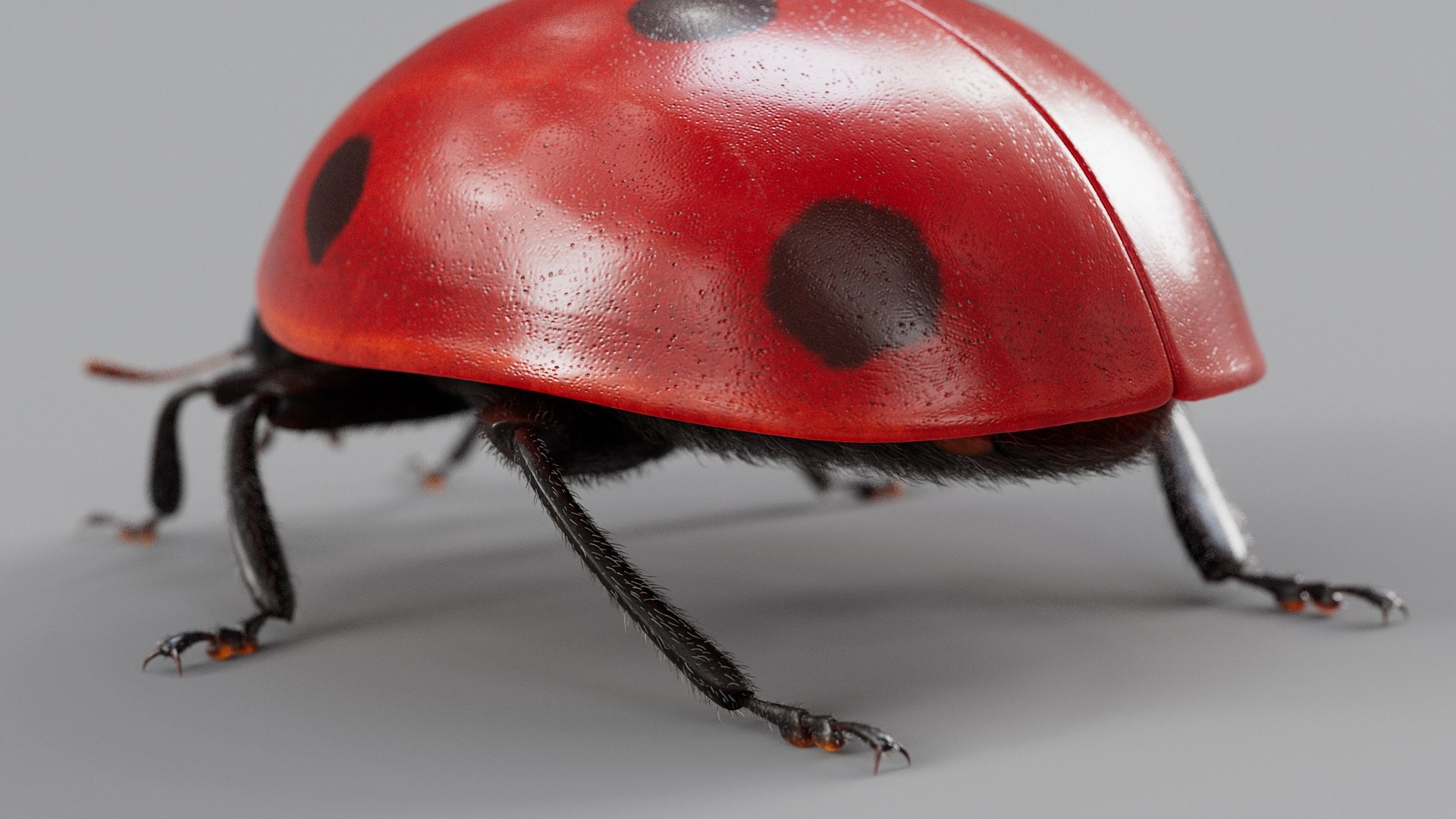 Ladybug Rigged Xgen 3D https://p.turbosquid.com/ts-thumb/mX/iIVhOl/QX/ladybug_main_14/jpg/1761638580/1920x1080/fit_q87/cb10719d3ed31ca892cdf544a0505e66746193af/ladybug_main_14.jpg