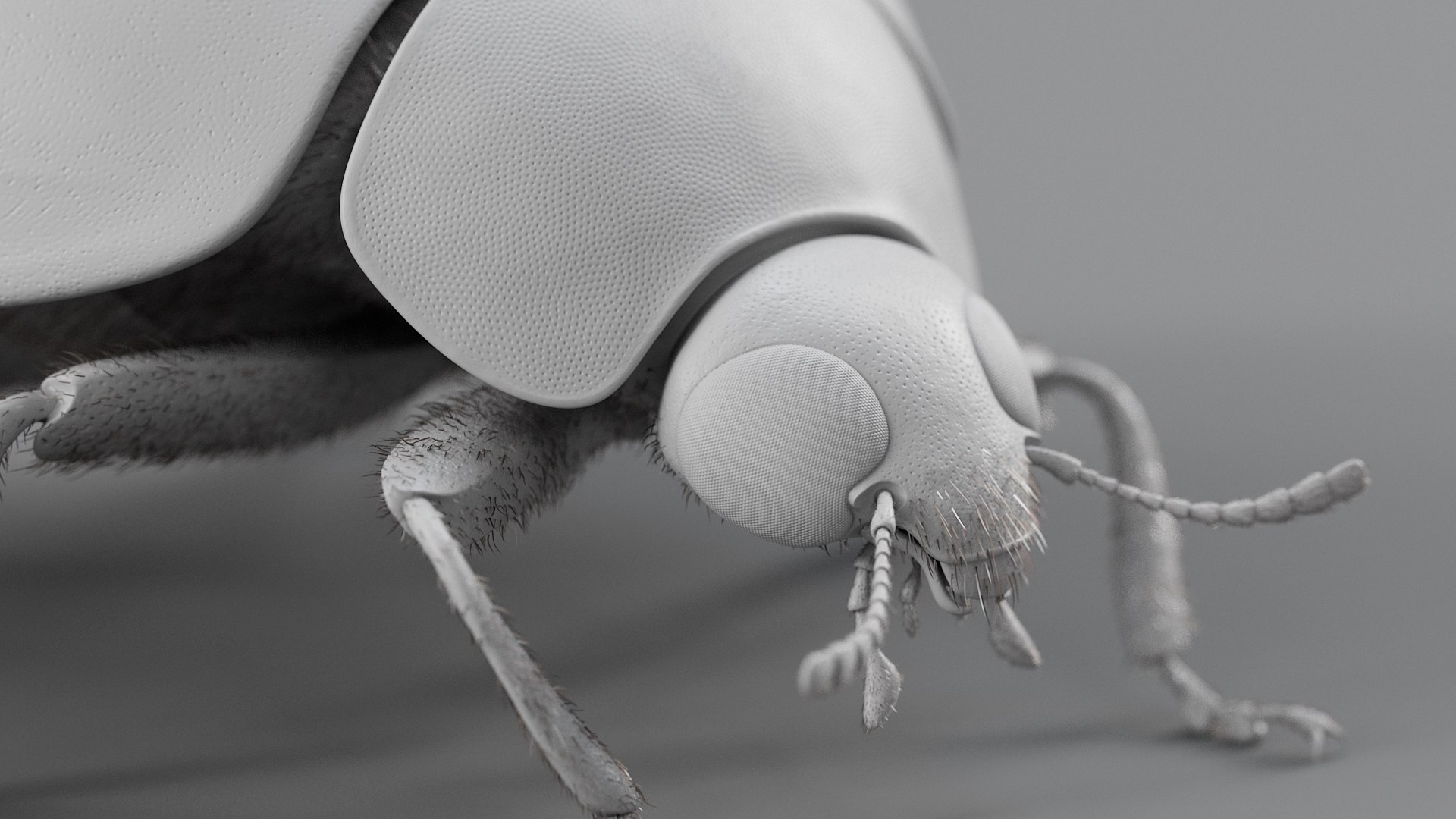 Ladybug Rigged Xgen 3D https://p.turbosquid.com/ts-thumb/mX/iIVhOl/Qv/ladybug_main_26/jpg/1761638593/1920x1080/fit_q87/b6ddee005e9fb5c7562b9693716dfcf2a1c73ed4/ladybug_main_26.jpg