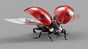 Ladybug Rigged Xgen