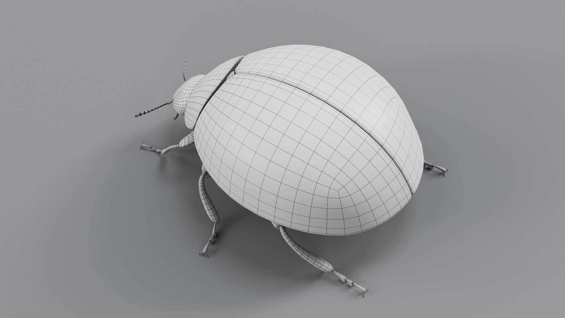 Ladybug Rigged Xgen 3D https://p.turbosquid.com/ts-thumb/mX/iIVhOl/Ss/ladybug_main_33/jpg/1761638602/1920x1080/fit_q87/7d09724b1e2257e2e76ca64da618661e094e5fca/ladybug_main_33.jpg