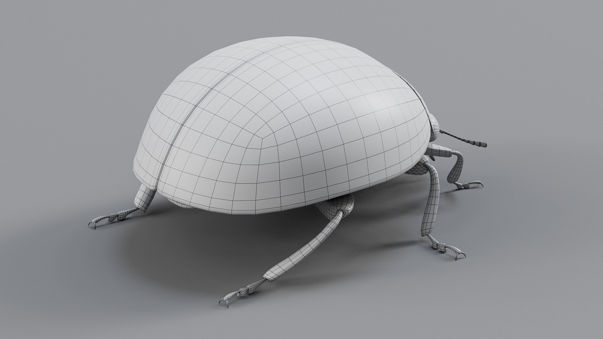 Ladybug Rigged Xgen 3D https://p.turbosquid.com/ts-thumb/mX/iIVhOl/TI/ladybug_main_32/jpg/1761638601/1920x1080/fit_q87/cb82ffa3ecfad05747d1d5435c48daae5bb83e75/ladybug_main_32.jpg