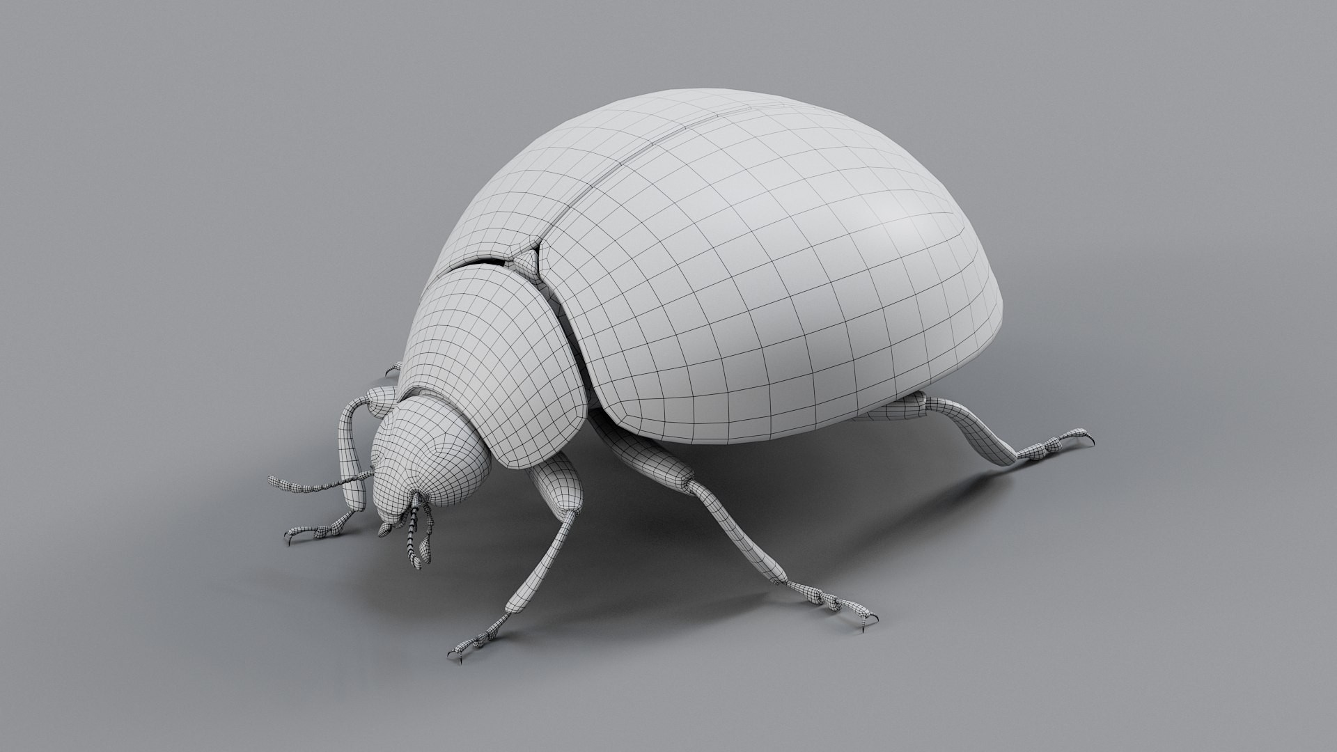 Ladybug Rigged Xgen 3D https://p.turbosquid.com/ts-thumb/mX/iIVhOl/Vx/ladybug_main_34/jpg/1761638604/1920x1080/fit_q87/bb0e10e40f4e6a305d32f599405e85e528807147/ladybug_main_34.jpg