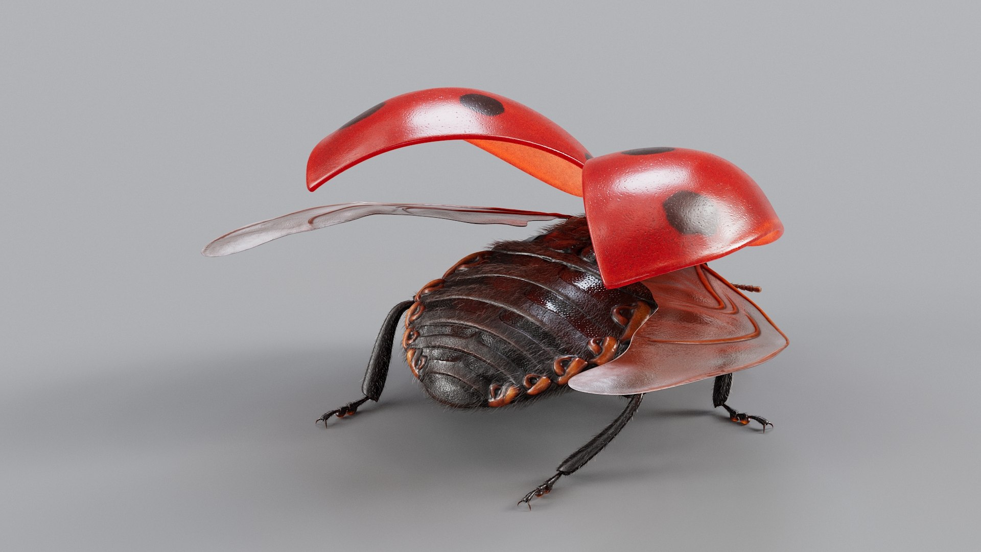 Ladybug Rigged Xgen 3D https://p.turbosquid.com/ts-thumb/mX/iIVhOl/bP/ladybug_main_11/jpg/1761638574/1920x1080/fit_q87/be854560617bc607d9a4d7c73c7891cf9eddd06c/ladybug_main_11.jpg