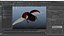 瓢虫 Rigged Xgen