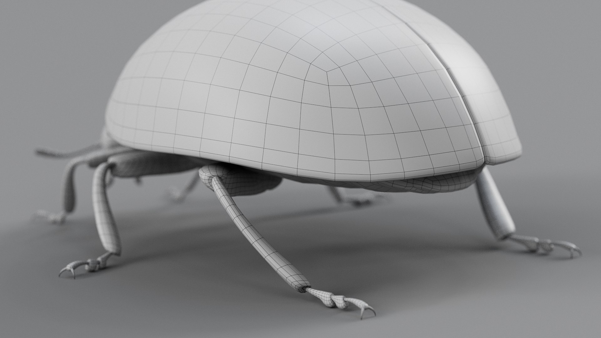 Ladybug Rigged Xgen 3D https://p.turbosquid.com/ts-thumb/mX/iIVhOl/dc/ladybug_main_40/jpg/1761638611/1920x1080/fit_q87/3047875eabddb7ef7d153064ec3566de83f97374/ladybug_main_40.jpg