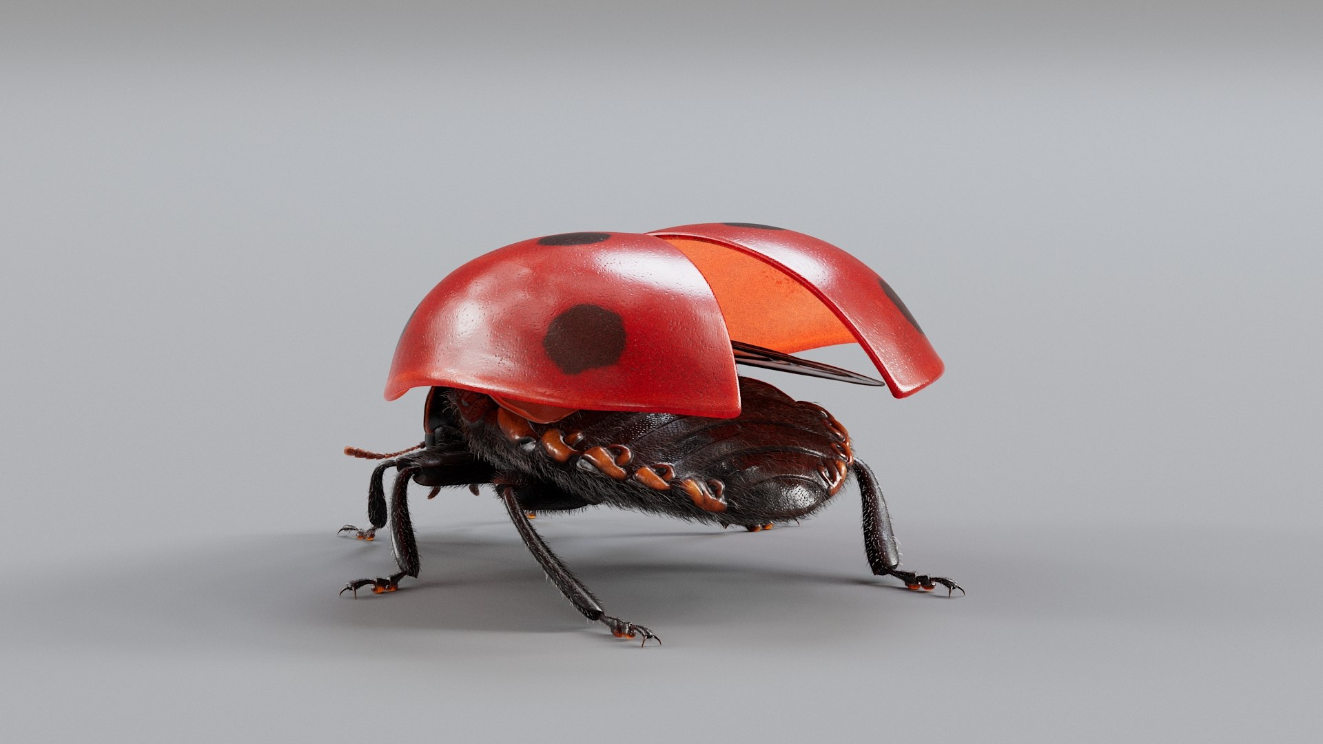 Ladybug Rigged Xgen 3D https://p.turbosquid.com/ts-thumb/mX/iIVhOl/iO/ladybug_main_12/jpg/1761638574/1920x1080/fit_q87/09738d33a7b5962dc68f2f82a1f37ba128a01867/ladybug_main_12.jpg