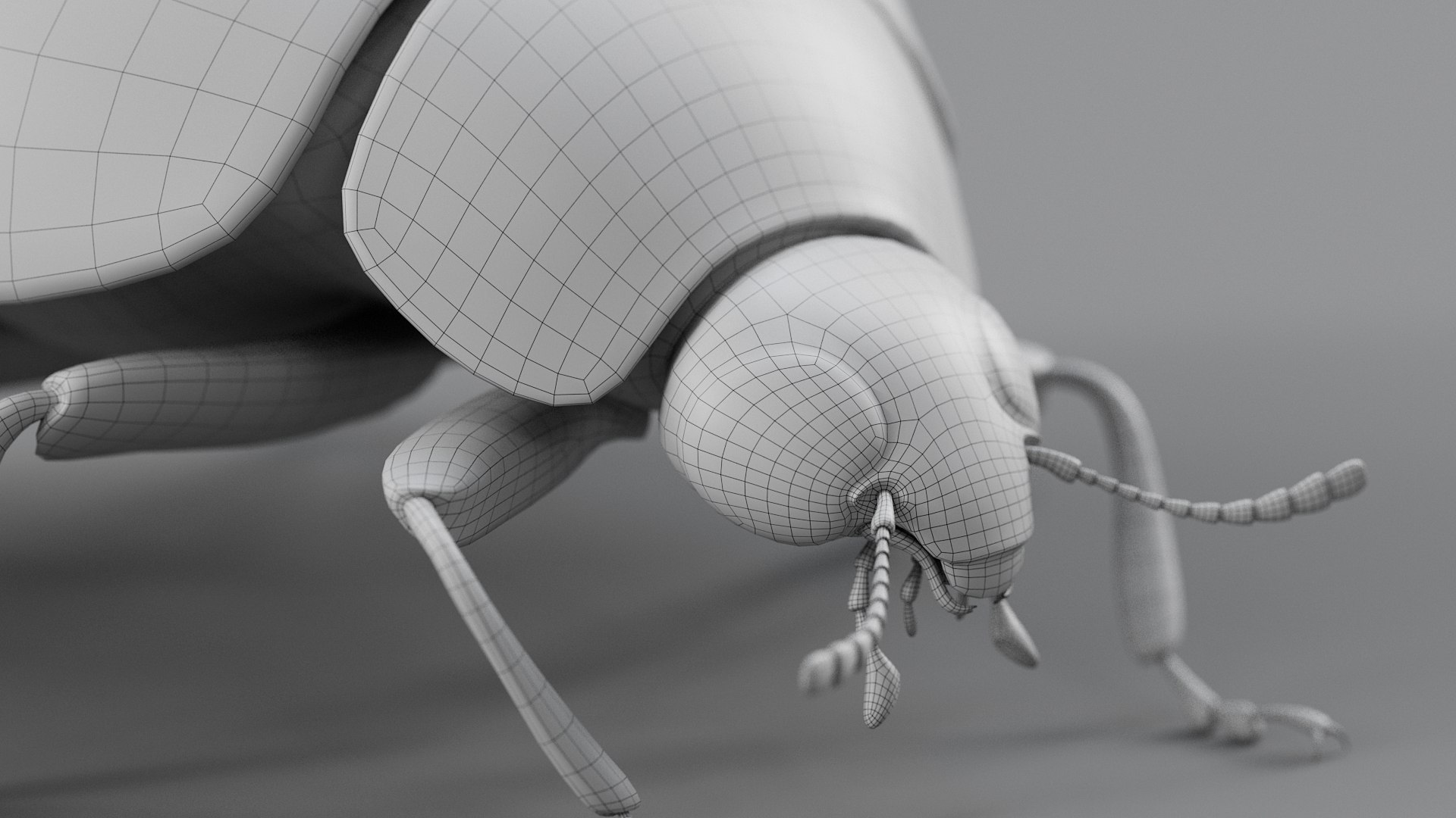 Ladybug Rigged Xgen 3D https://p.turbosquid.com/ts-thumb/mX/iIVhOl/ij/ladybug_main_39/jpg/1761638610/1920x1080/fit_q87/4b17397d5f7ec83124ab4010f15503f460be3eed/ladybug_main_39.jpg