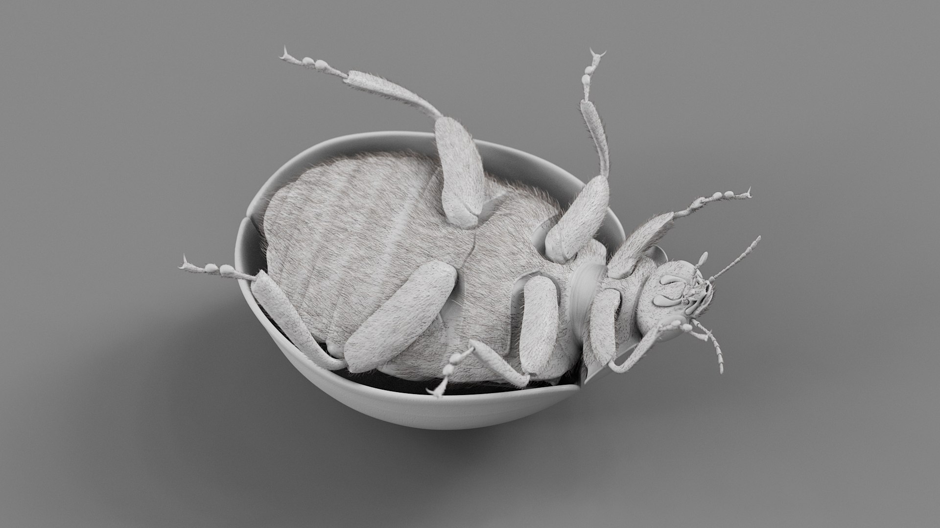 Ladybug Rigged Xgen 3D https://p.turbosquid.com/ts-thumb/mX/iIVhOl/mX/ladybug_main_28/jpg/1761638596/1920x1080/fit_q87/a40393bcbc70fdd037d0af28af573bcd73677309/ladybug_main_28.jpg