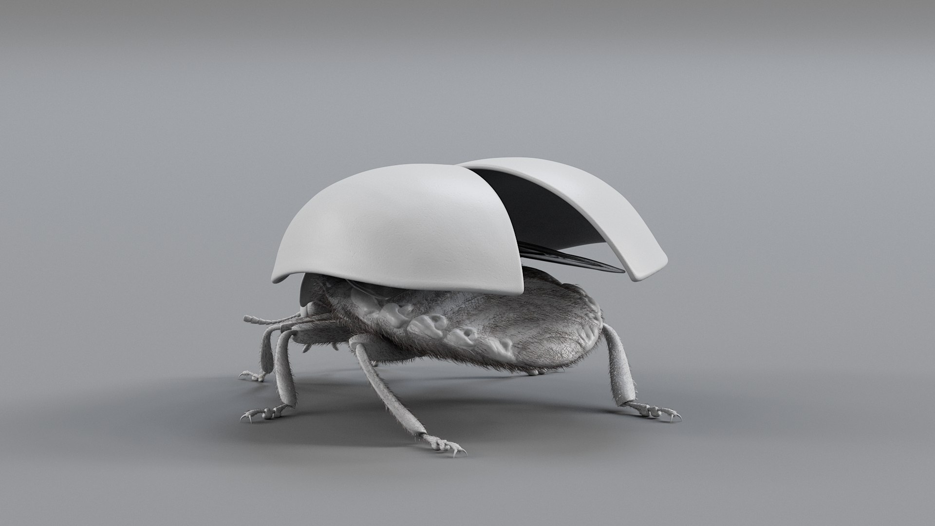 Ladybug Rigged Xgen 3D https://p.turbosquid.com/ts-thumb/mX/iIVhOl/qV/ladybug_main_25/jpg/1761638592/1920x1080/fit_q87/ce6aa14a6315a2459d006015f83dbcddee0dced7/ladybug_main_25.jpg