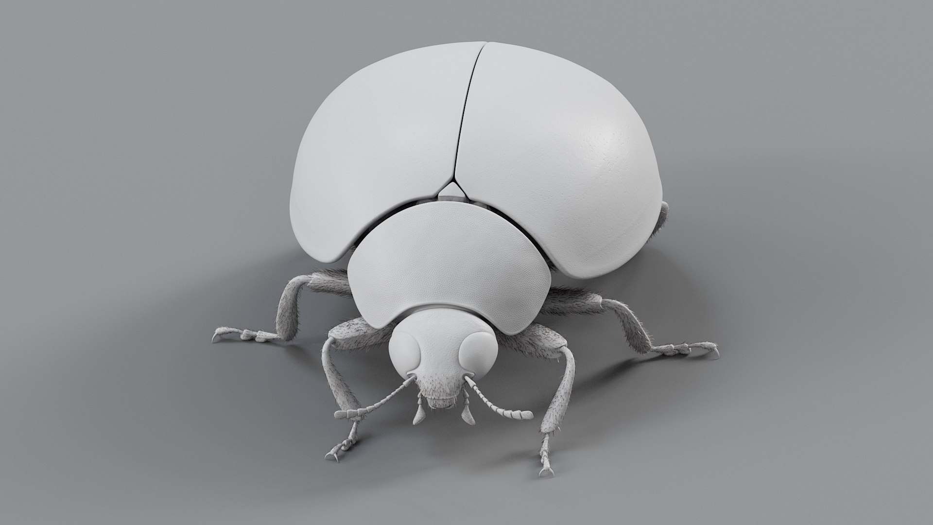 Ladybug Rigged Xgen 3D https://p.turbosquid.com/ts-thumb/mX/iIVhOl/r6/ladybug_main_22/jpg/1761638588/1920x1080/fit_q87/d40cbf4903312f679a13fdb448886f2b34d4ee13/ladybug_main_22.jpg
