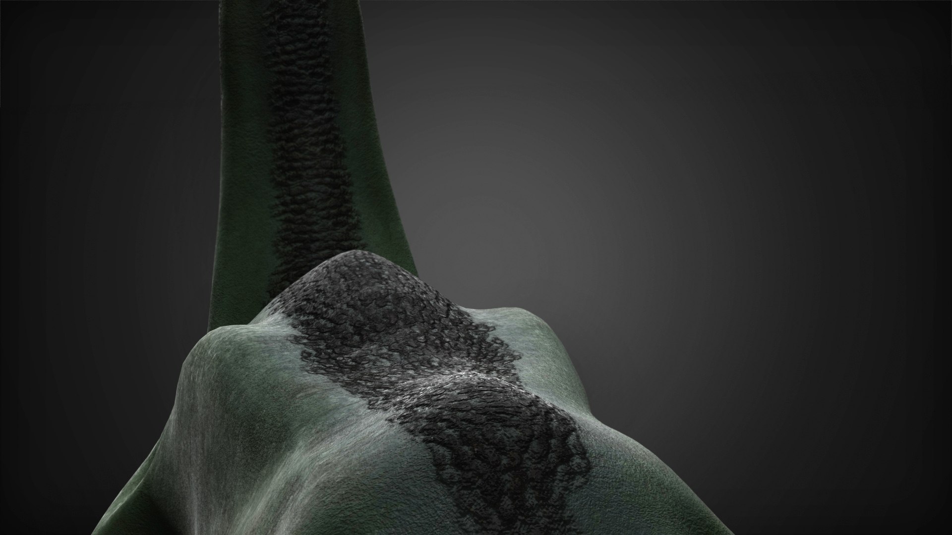aqua monster 3D model https://p.turbosquid.com/ts-thumb/mX/kngjEe/HkXSZYk1/shot8/jpg/1569002456/1920x1080/fit_q87/9edb4250ee4e1bd77de3c91100f8a9eeca2fb338/shot8.jpg