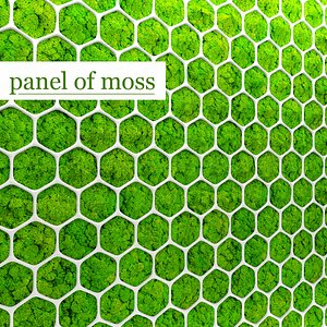 Fytowall moss 3D