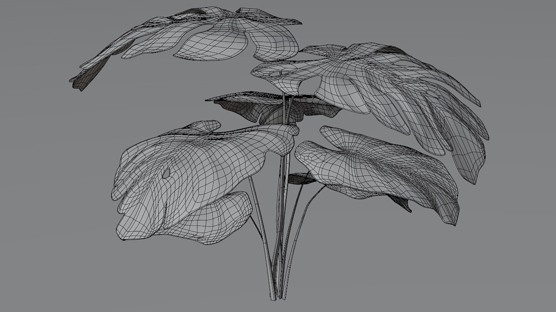 3D model Tropical Monstera Plant https://p.turbosquid.com/ts-thumb/mX/o94SF1/1v/7/jpg/1752610399/1920x1080/fit_q87/f1049b4747300cec86d08f8feb3cd0910fda1f31/7.jpg