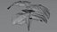 Planta Monstera Tropical