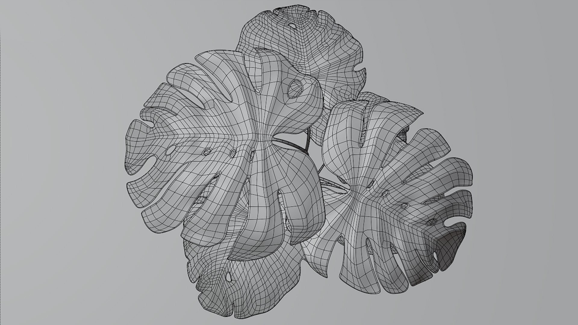 3D model Tropical Monstera Plant https://p.turbosquid.com/ts-thumb/mX/o94SF1/Aq/8/jpg/1752610399/1920x1080/fit_q87/e45c9118da5793604bdce22f1e9d28628d79e656/8.jpg