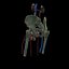 Male Urogenital