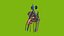 Male Urogenital