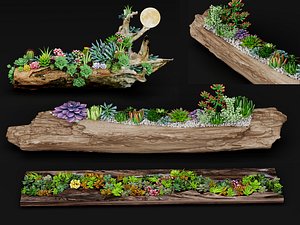 Wood Log Succulent Planter Set