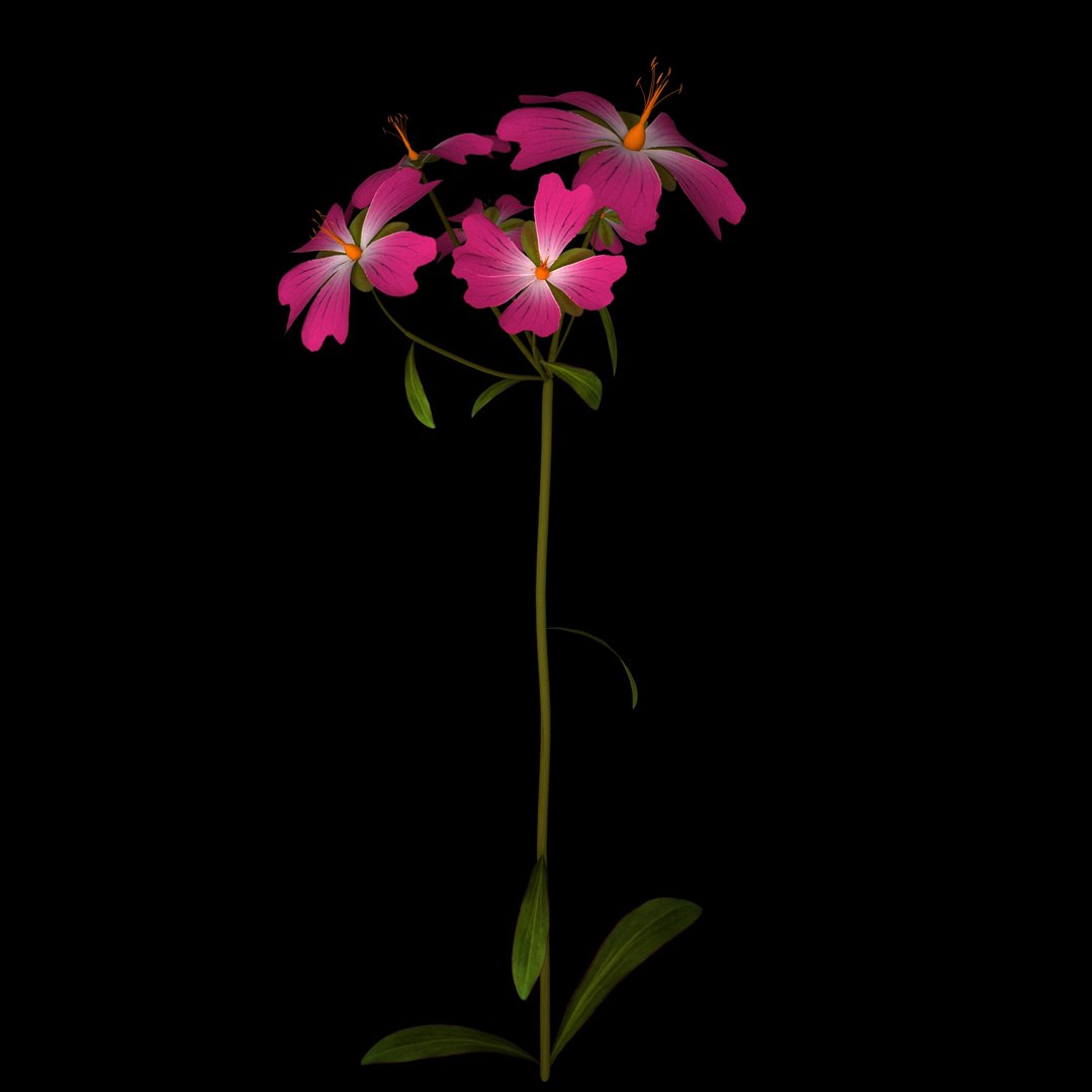 flowers open animation 3D model https://p.turbosquid.com/ts-thumb/mY/0JSTz6/NHQgYk9r/012/jpg/1594379816/1920x1080/fit_q87/8e346d0dccf1d3bb2797810da5a134527844ef38/012.jpg