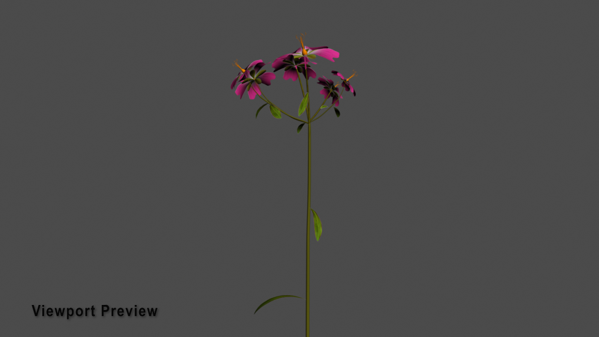 flowers open animation 3D model https://p.turbosquid.com/ts-thumb/mY/0JSTz6/cEuMeOuU/_growing_flowers_packages_single/jpg/1596367234/1920x1080/turn_fit_q99/771348a57d4d5fd9fa6f9258a52d71f743553665/_growing_flowers_packages_single-1.jpg