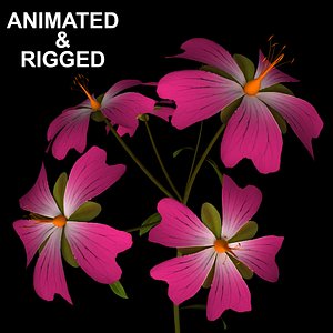 flowers open animation 3D model
